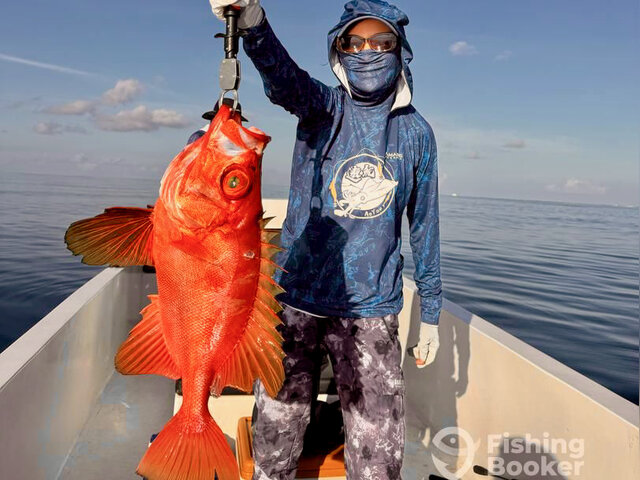 Listing image 1208906