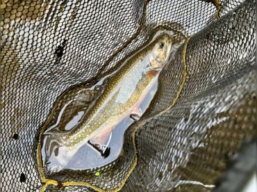 No Flaws Fishing – Minister Creek