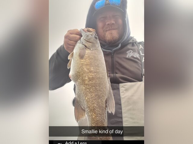 Listing image 1187688