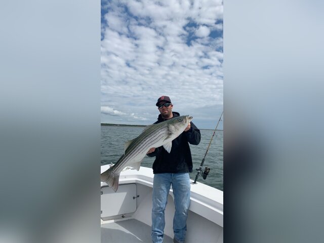 Listing image 1209973