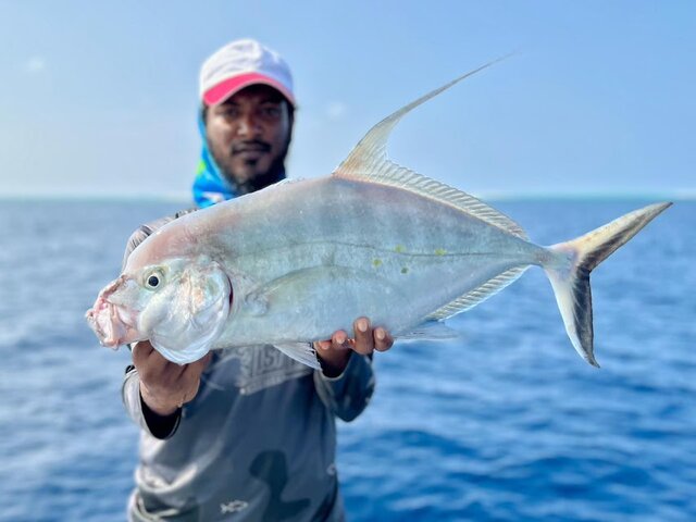 Listing image 1188616