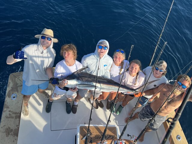 Listing image 1188561