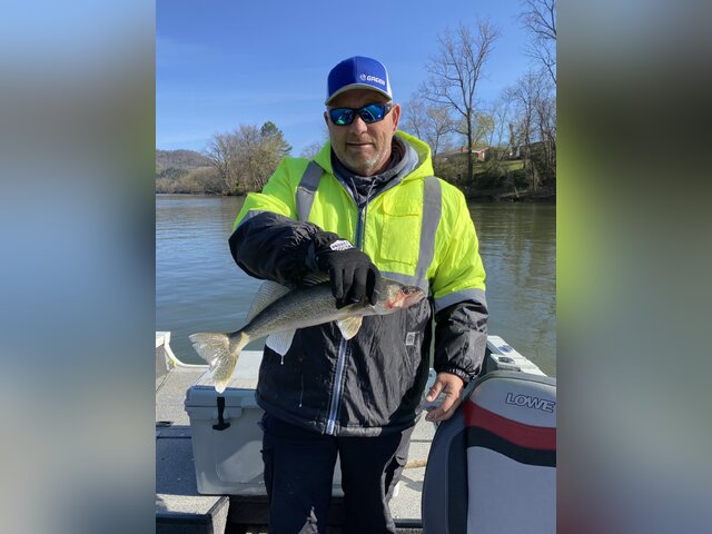 Listing image 1188946