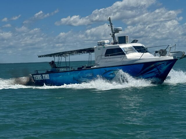 Listing image 1189654