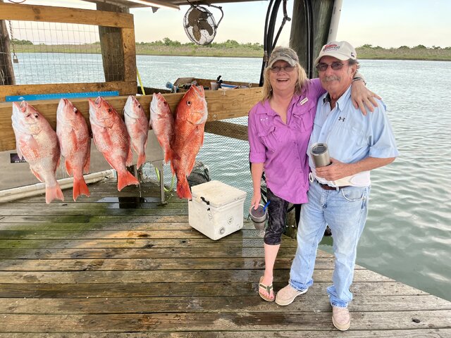 Listing image 1191047