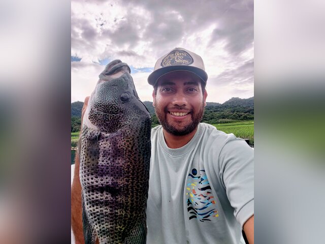 Listing image 1191064