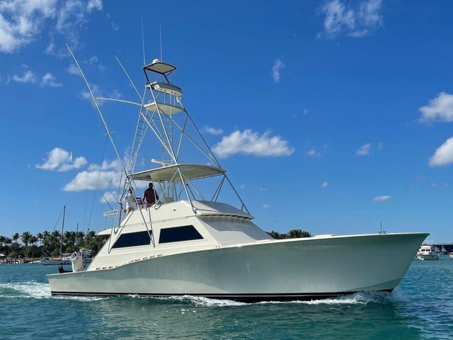 Listing image 1191104