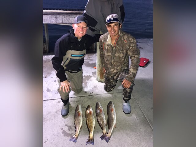 Listing image 1191331