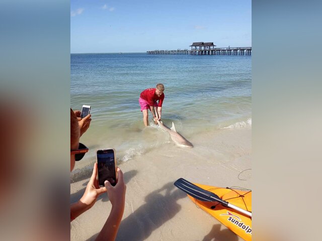 Listing image 1191629