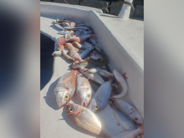 Listing image 1193484