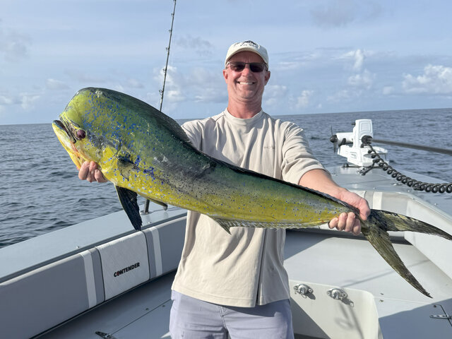 Listing image 1208314