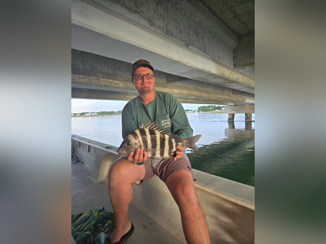 Listing image 1193827