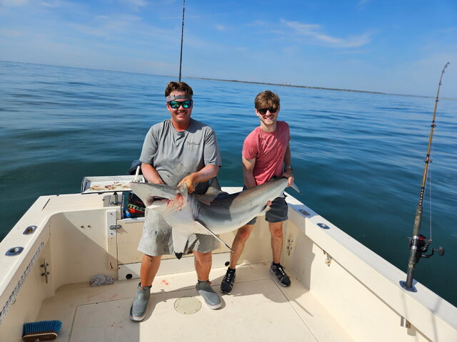 Listing image 1210245