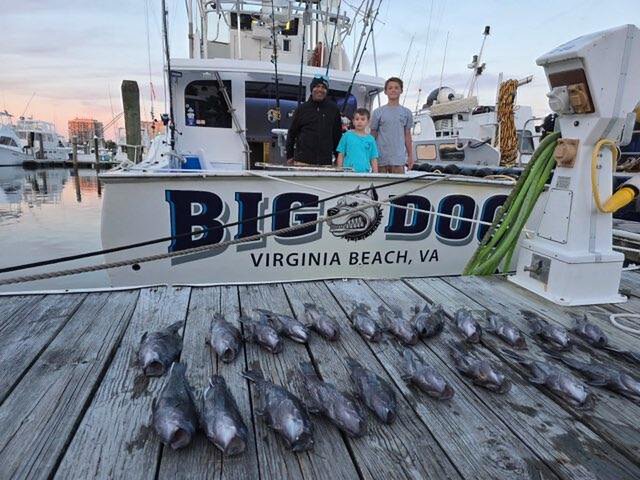 Listing image 1195569