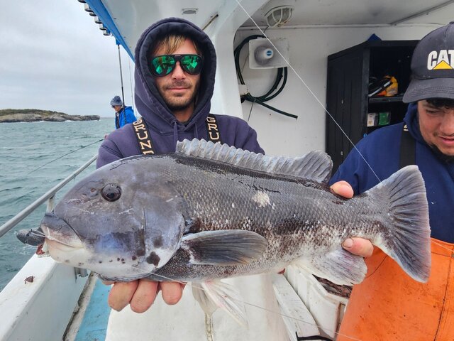 Listing image 1265563