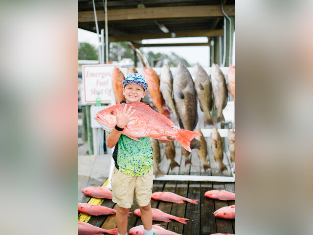 Listing image 365504