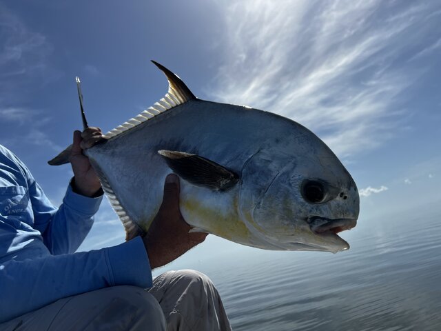 Listing image 1197127