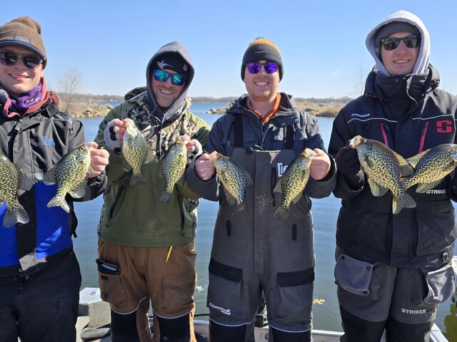 Listing image 1198183