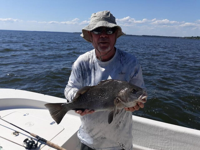 Listing image 1198355