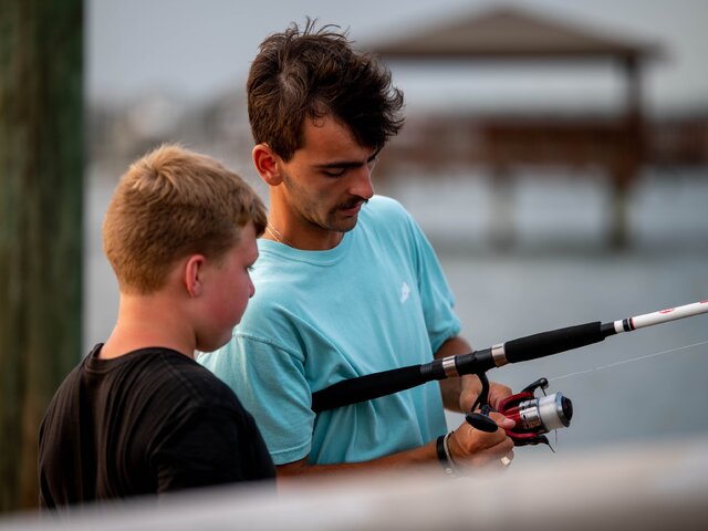 Listing image 1198786