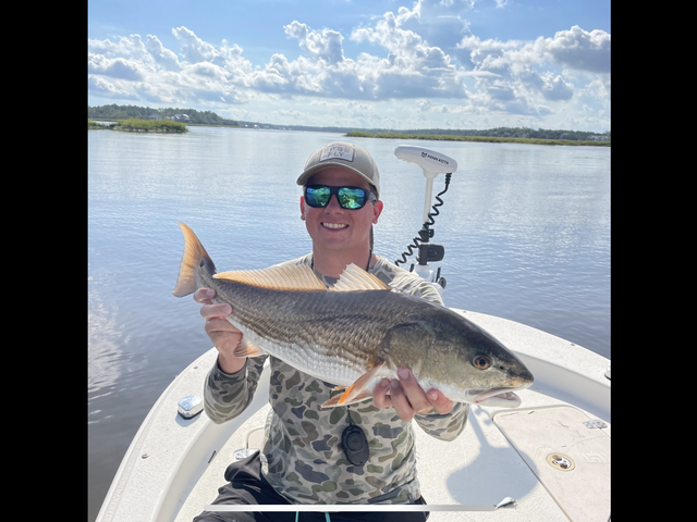 Listing image 1247191