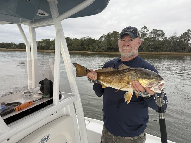 Listing image 1200696