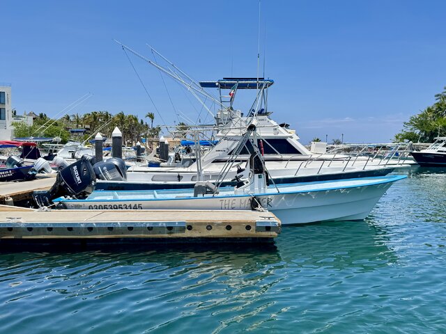 Listing image 1228521