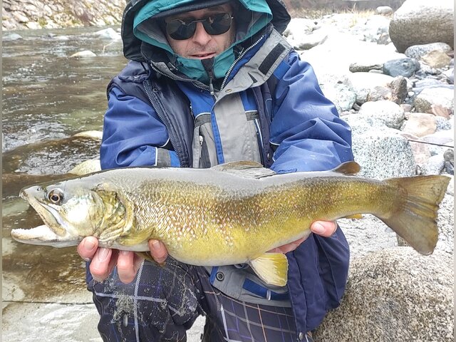 Listing image 1204061