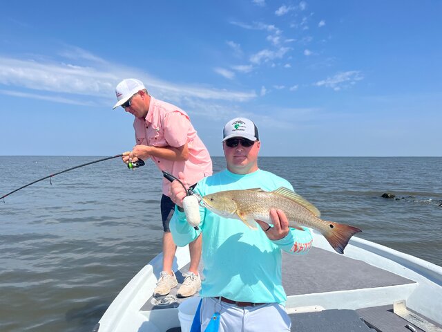 Listing image 1201582