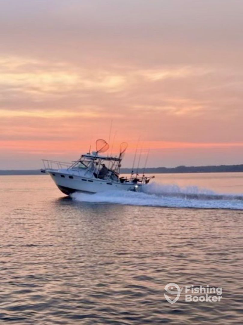 Boat image