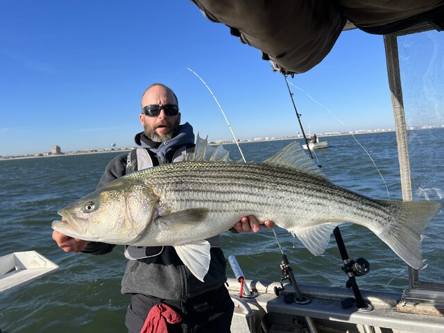 Listing image 1204132