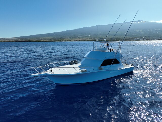 Listing image 1204207