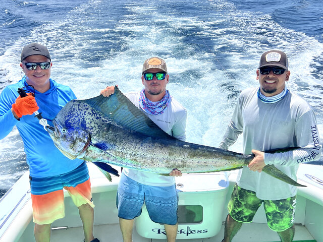 Listing image 1202727