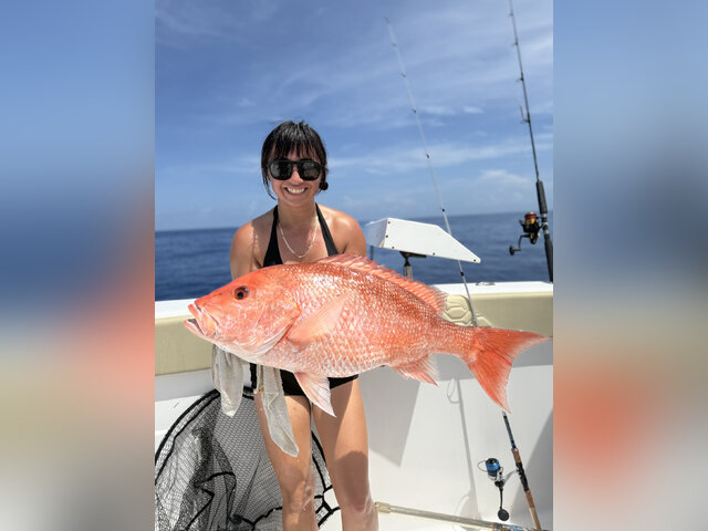 Listing image 1219349