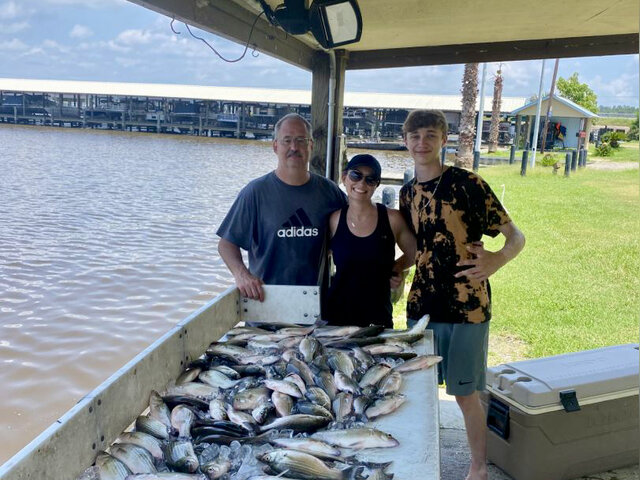 Listing image 1231204