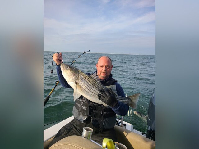 Listing image 1205628