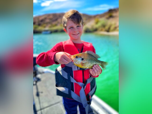 Listing image 1205697