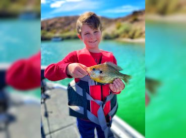 Reddy Guide Service – Arizona