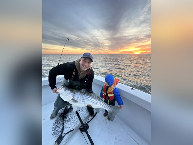 Listing image 1205952