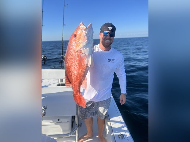 Listing image 1206045