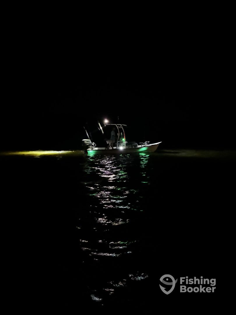 Boat image