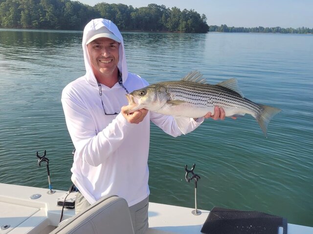 Listing image 1209164