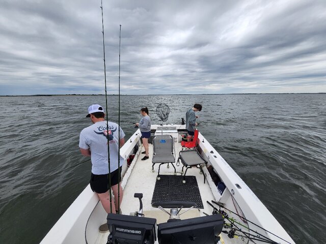 Listing image 1209487