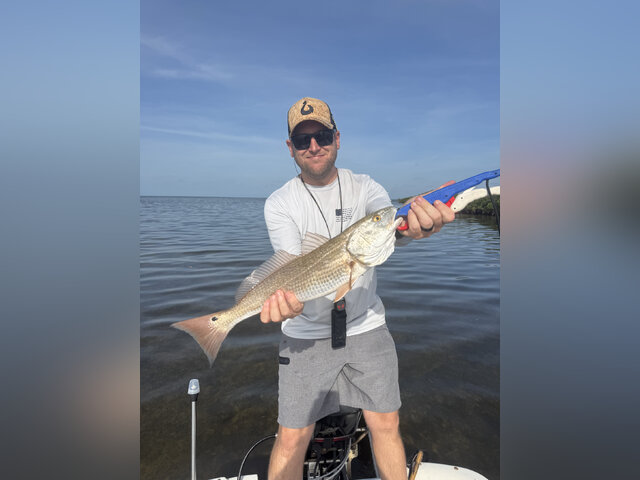 Listing image 1213681