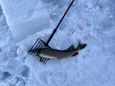 Majestic Michigan Outfitters