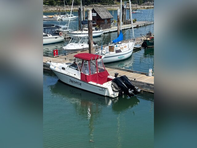 Listing image 1211018