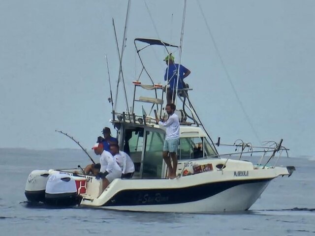 Listing image 1388463