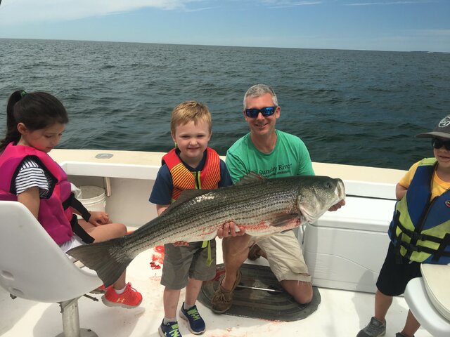 Listing image 1211517