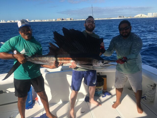 Listing image 1221419