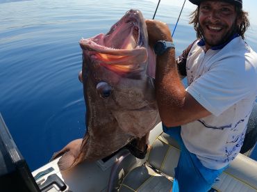 Fish & Trip – Your Ionian Fishing Adventure